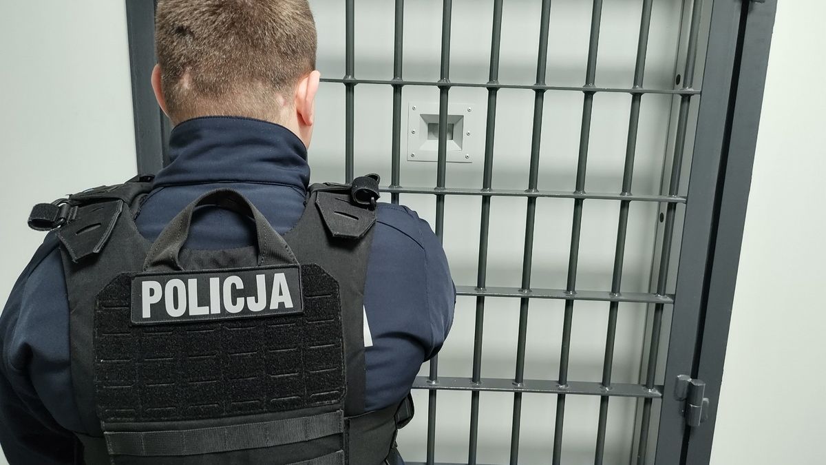 policja, areszt