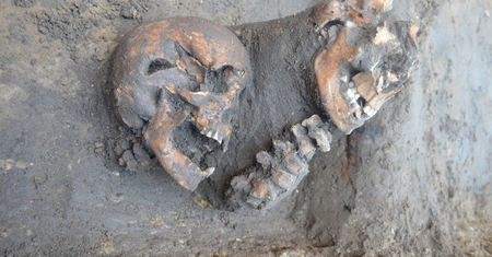 Archeologiczna sensacja w Krakowie. Przypadkiem odkryli ogromny cmentarz