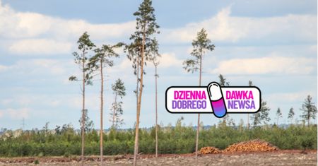 Rodzice posadzili 40 drzew w Lesie Młodej Łodzi. Oto powód