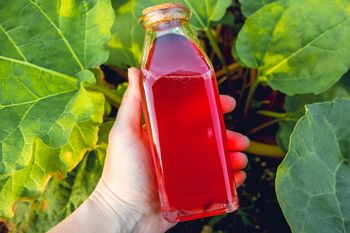 Zbieram na polu i gotuję. Pyszny syrop dolewam niemal do wszystkiego