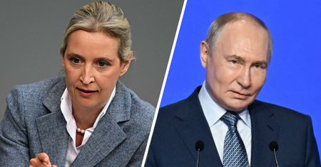 AfD już nie ukrywa. "Pojednanie z Rosją"