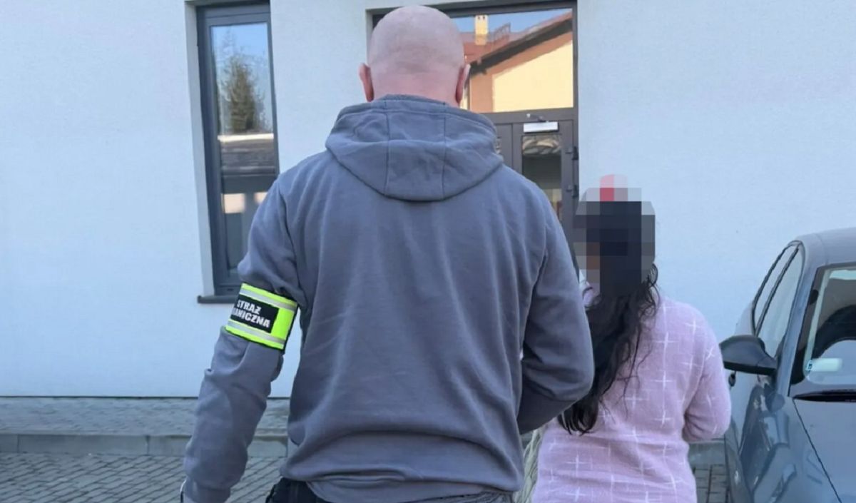 Zatrzymała ją Straż Graniczna. Podstępem chciała zostać w Polsce