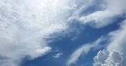 Niebezpieczne grzyby, bakterie i wirusy w atmosferze. Mogą być przenoszone na ogromne odległości
