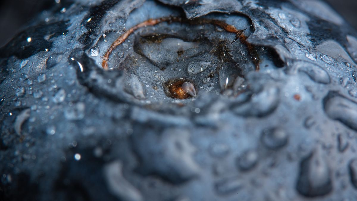 Te owoce warto jeść jak najczęściej