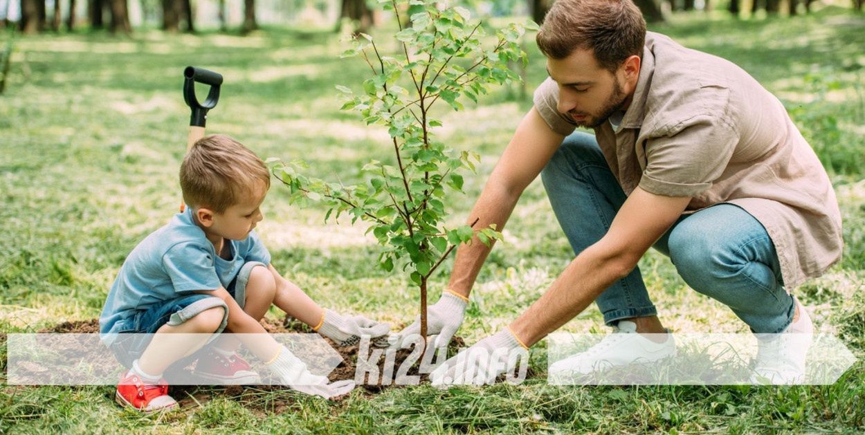 Inowrocław: Nowa tradycja? "Tato, Mamo - posadź dla mnie drzewo!"