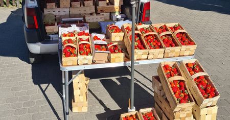 Poszła na targowisko. Ceny truskawek. "To dość dziwne"