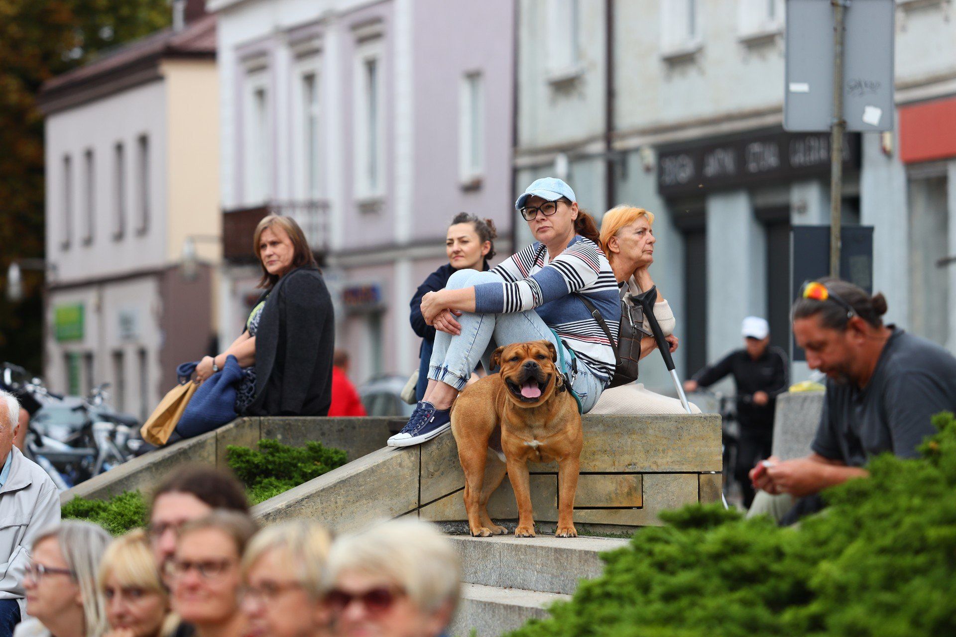 Część zainteresowanych przybyła ze swoimi czworonożnymi przyjaciółmi