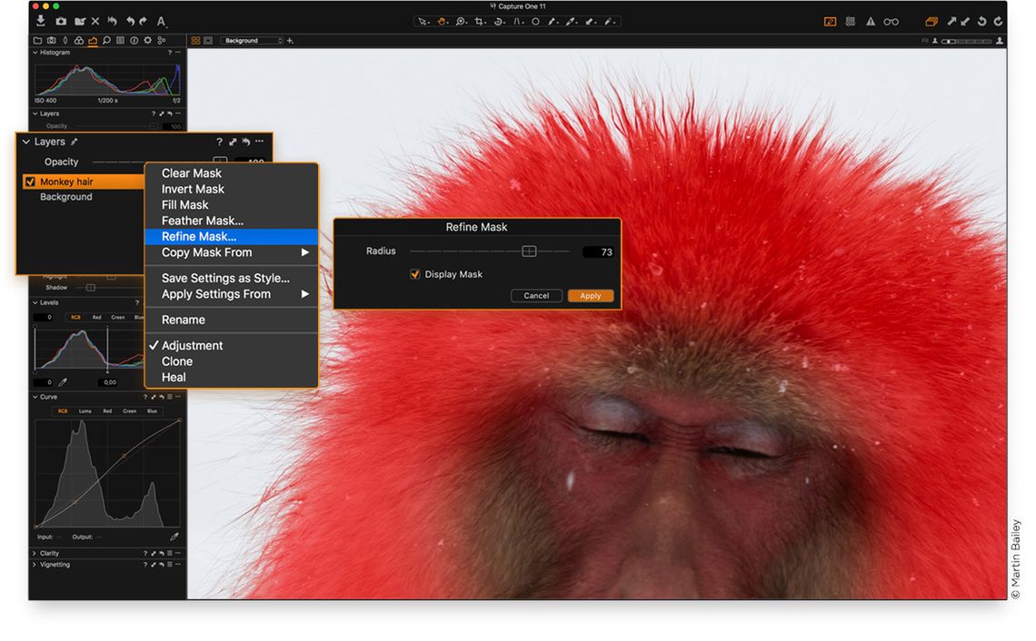 Capture One 11 - zapowiada się realna konkurencja dla Adobe 3
