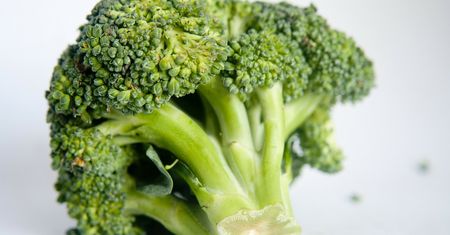 Dieta przeciwgrzybicza