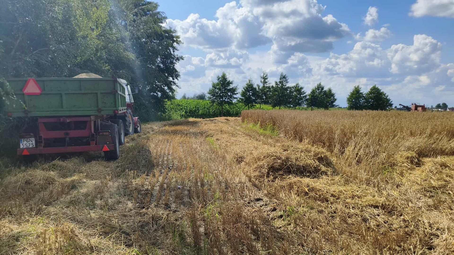 Tam, gdzie jest produkcja rolna, nie obejdzie się bez hałasu maszyn i specyficznego zapachu.