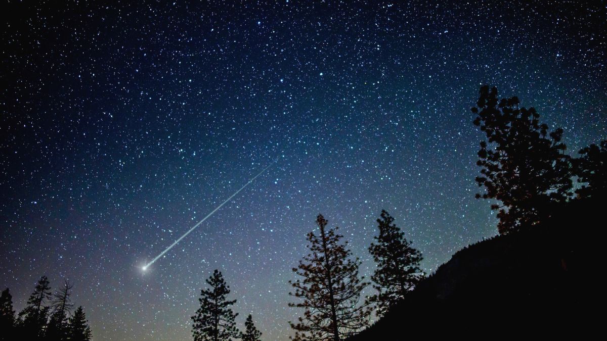 Nocne niebo i spadająca gwiazda