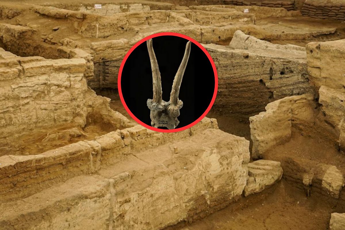 Tajemnicza maska sprzed tysięcy lat. Sensacyjne odkrycie w Niemczech