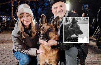 Nie żyje pies znany z "Na Wspólnej". Był partnerem Ankudowicz