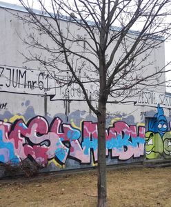 Warszawa. Na Woli powstanie mural upamiętniający wolną elekcję