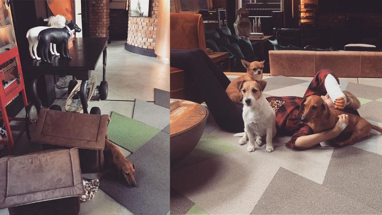  Zobaczcie jak mieszka Agnieszka Woźniak-Starak! 