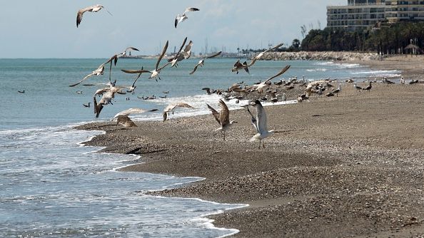 Plaża na Costa del Sol
