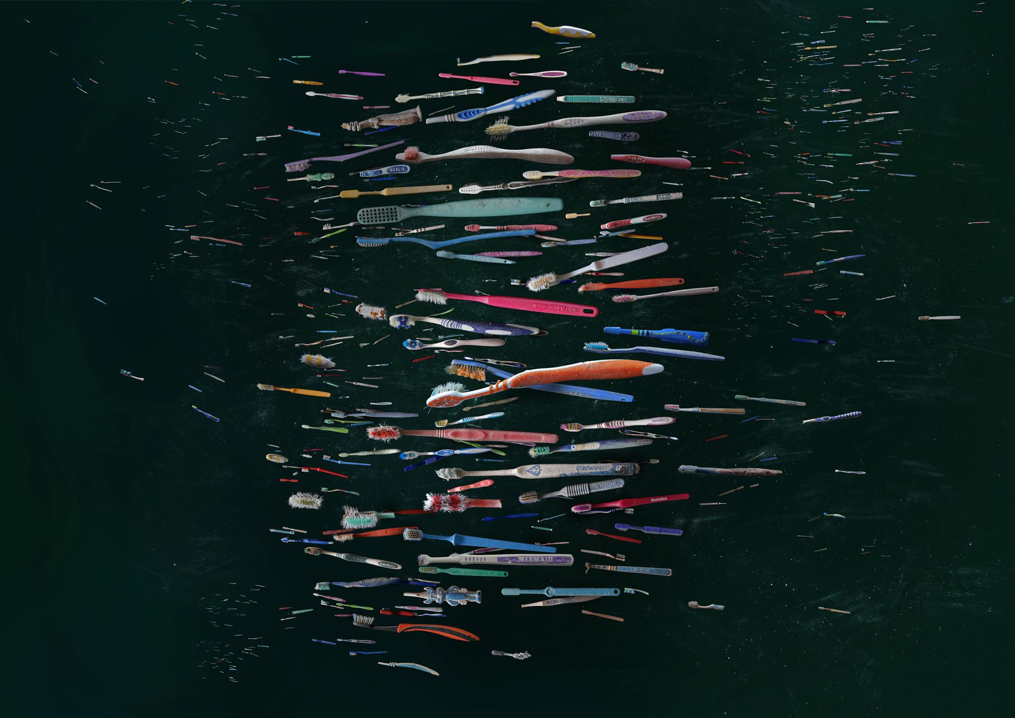 Martwa natura oceanu. Mandy Barker pokazuje, jak plastik zabija świat 5