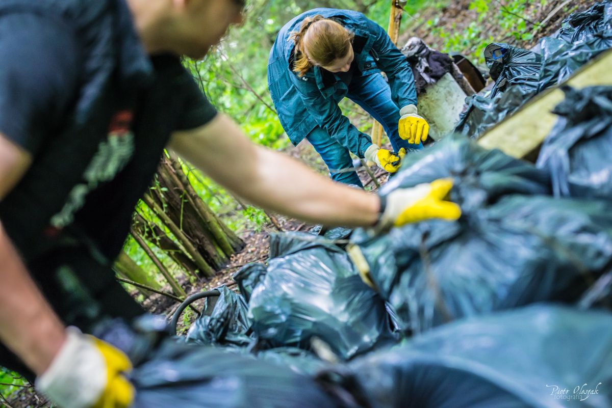 Podrzucanie śmieci do lasów to wciąż popularna praktyka, fot. Piotr Oleszak