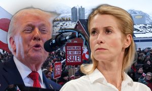 Cła na pomagających Grenlandii. Kallas: Chiny i Rosja muszą się świetnie bawić