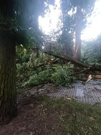 Skutki nawałnic w woj. śląskim. Aż 860 interwencji straży pożarnej. Połamane drzewa, pożar szkoły i brak prądu. Są też utrudnienia na kolei