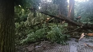 Skutki nawałnic w woj. śląskim. Aż 860 interwencji straży pożarnej. Połamane drzewa, pożar szkoły i brak prądu. Są też utrudnienia na kolei