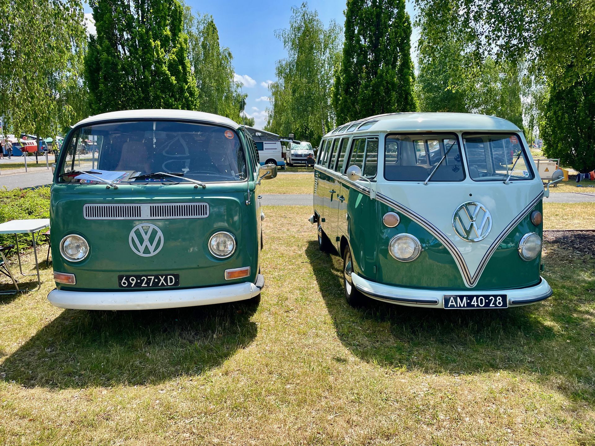 Volkswagen Bus Festival