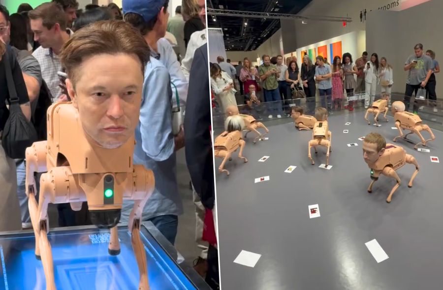 Instalacja Regular Animals