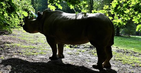 Smutne pożegnanie w Poznaniu. "Dziękujemy za spokój, cierpliwość i charakter"