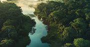 COP30 w cieniu kontrowersji: wycinka lasów Amazonii pod budowę drogi na szczyt klimatyczny
