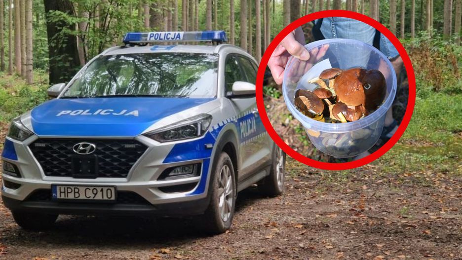 Policja z instrukcją dla grzybiarzy