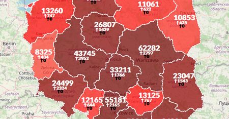 Koronawirus w Polsce. Rekord zakażeń i zgonów. Sprawdź najnowsze dane [Aktualna mapa]