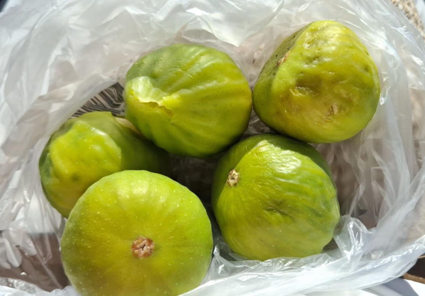 Figi