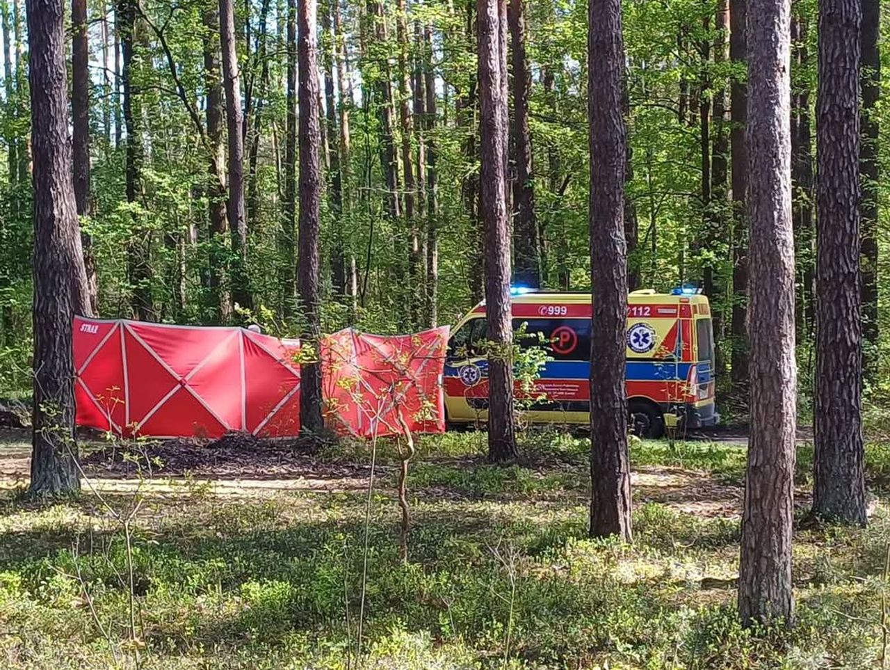 14-latka zginęła po upadku z konia. Tragiczny wypadek na Lubelszczyźnie