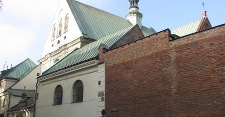 "Bomba biologiczna" pod krakowskim kościołem. Zagrożone są nawet mury