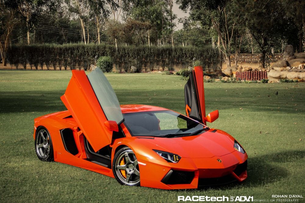 Lamborghini Aventador, felgi ADV.1 i słoń - niecodzienna sesja zdjęciowa [galeria] 18