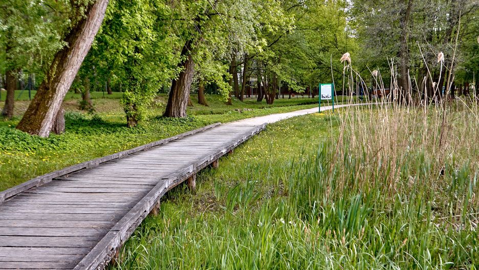 Park zdrojowy to idealne miejsce na spacer