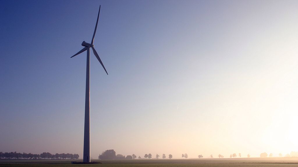 W Australii polują na ekologów? 1