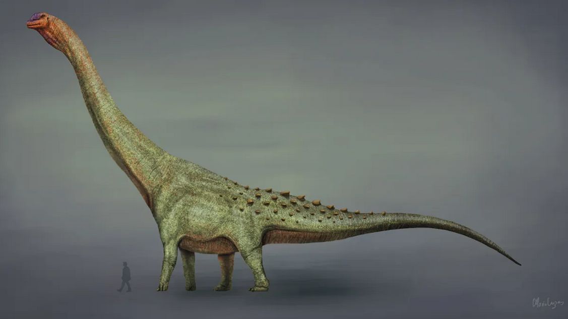 Niewykluczone, że tytanozaury były największymi stworzeniami, jakie kiedykolwiek żyły na ziemi