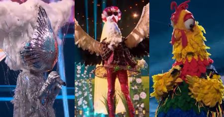 Finał "Mask Singer". Znamy tożsamość wszystkich postaci i ZWYCIĘZCĘ programu!