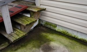 Spryskaj podjazd i elewację. Zielony nalot przestanie być problemem