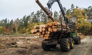 Branża drzewna bije na alarm. Nowe przepisy będą słono kosztować