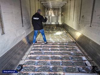 Ukryli marihuanę w kalafiorach. Przemyt wart 4,5 mln złotych