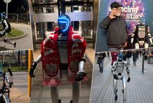 Fot. screeny z TikToka (montaż: WM)