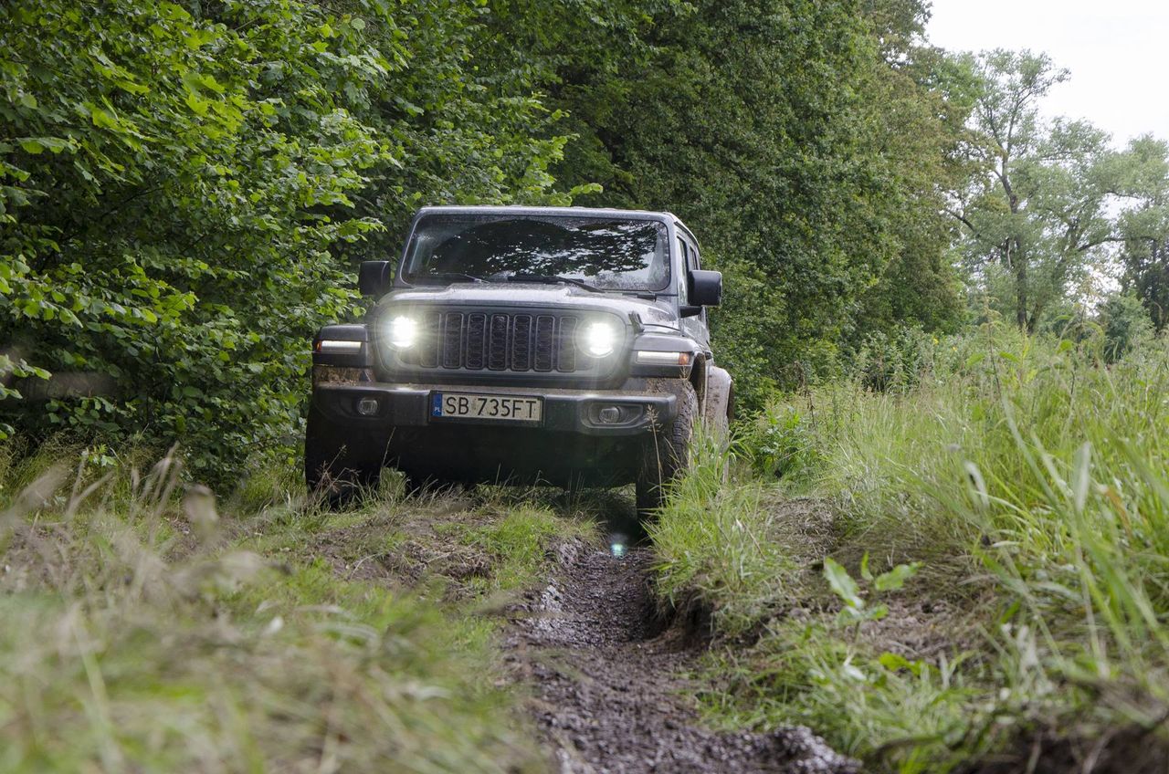 Jeep Wrangler 2024