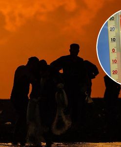 Prognoza na jutro: chaos