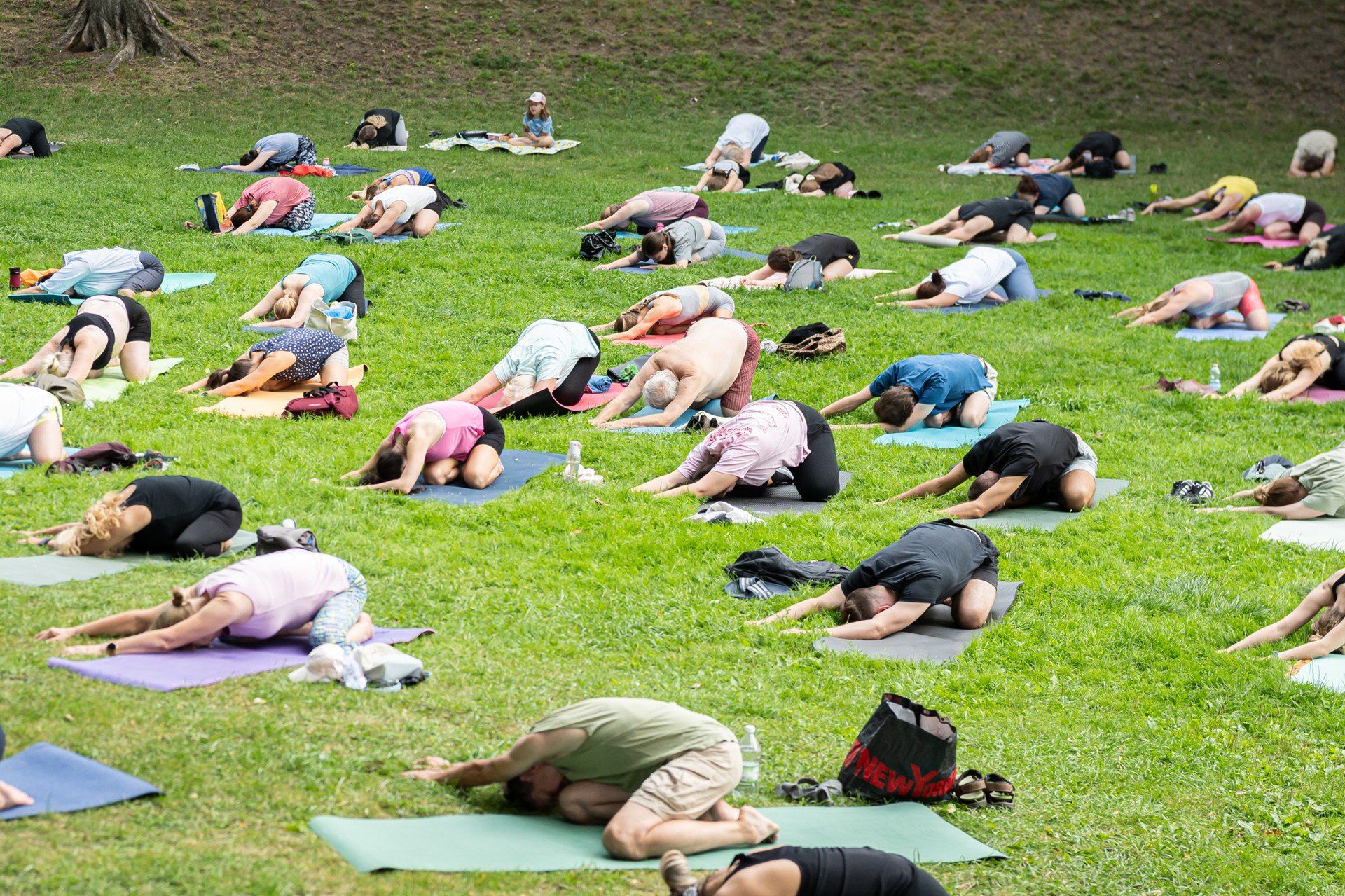 Joga w ogrodach Branickich cieszy się dużą popularnością