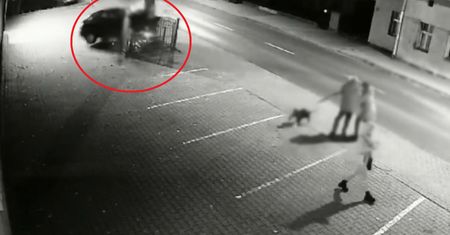 Wideo. Pędził wprost na pieszych. Zatrzymało go drzewo