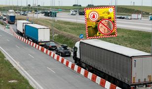 Służby przechwyciły 12 ton tuńczyka. Oto co wykryły w transporcie