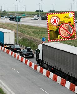 Służby przechwyciły 12 ton tuńczyka. Oto co wykryły w transporcie