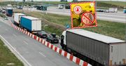 Służby przechwyciły 12 ton tuńczyka. Oto co wykryły w transporcie